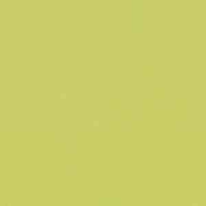Линолеум Forbo Furniture Linoleum 4182 spring green фото ##numphoto## | FLOORDEALER